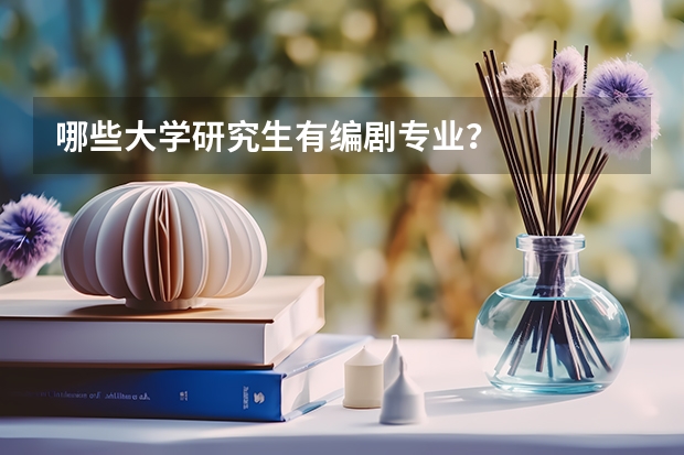 哪些大学研究生有编剧专业？