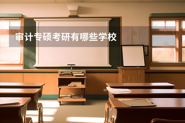 审计专硕考研有哪些学校