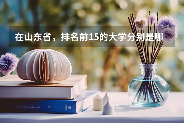 在山东省，排名前15的大学分别是哪些？