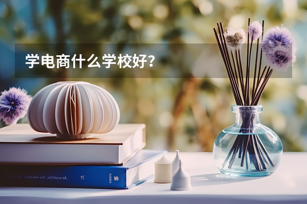 学电商什么学校好？