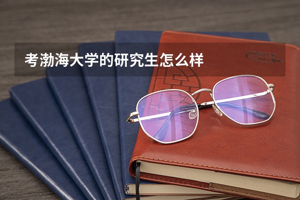 考渤海大学的研究生怎么样