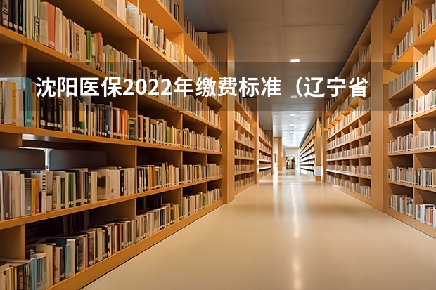 沈阳医保2022年缴费标准（辽宁省医保2023年新政策）