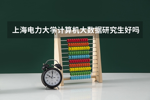 上海电力大学计算机大数据研究生好吗
