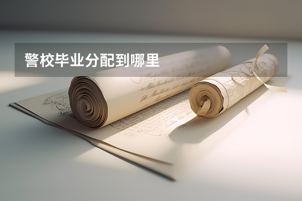 警校毕业分配到哪里
