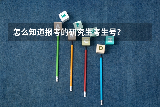 怎么知道报考的研究生考生号？