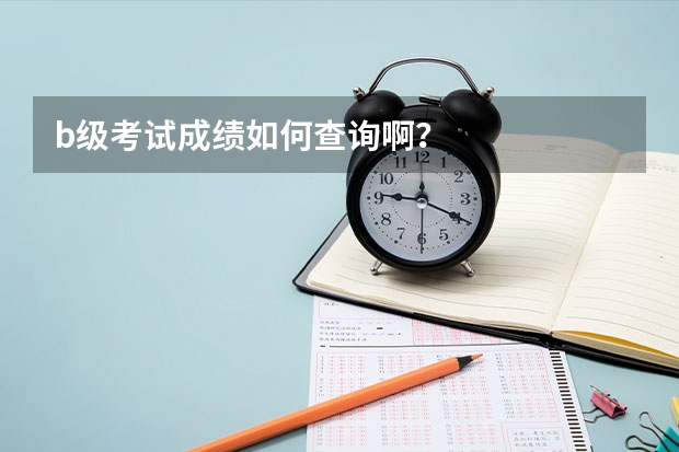 b级考试成绩如何查询啊？