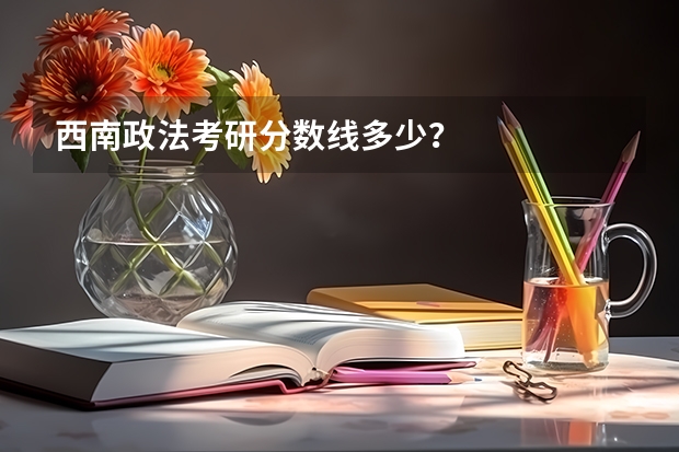 西南政法考研分数线多少？