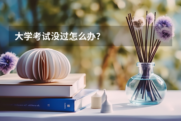 大学考试没过怎么办？
