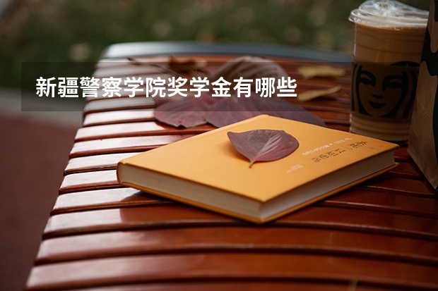 新疆警察学院奖学金有哪些