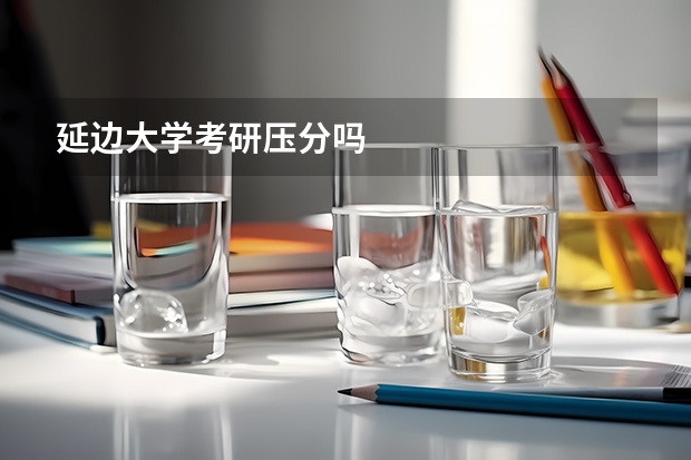 延边大学考研压分吗