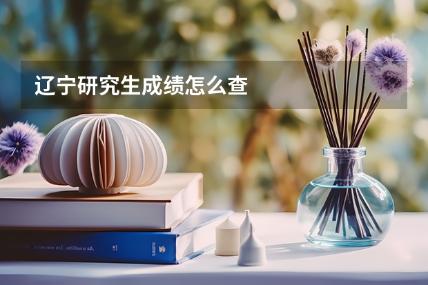 辽宁研究生成绩怎么查