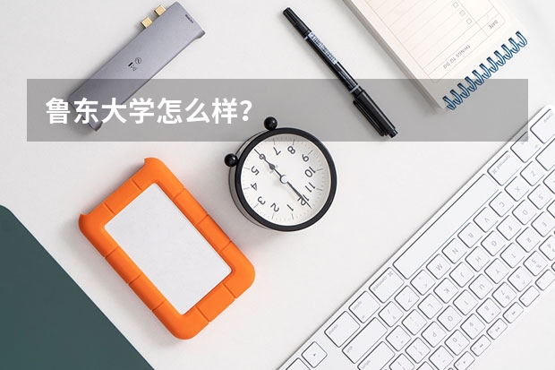 鲁东大学怎么样？