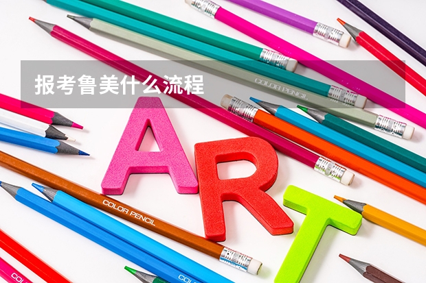 报考鲁美什么流程