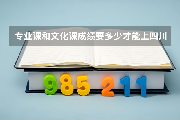 专业课和文化课成绩要多少才能上四川美院啊？