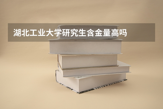 湖北工业大学研究生含金量高吗