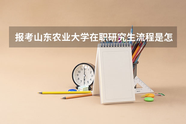 报考山东农业大学在职研究生流程是怎么样的？