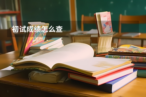 初试成绩怎么查