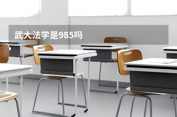 武大法学是985吗