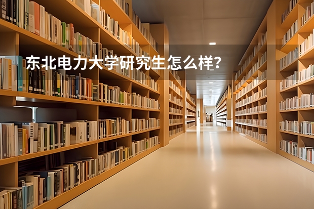 东北电力大学研究生怎么样？