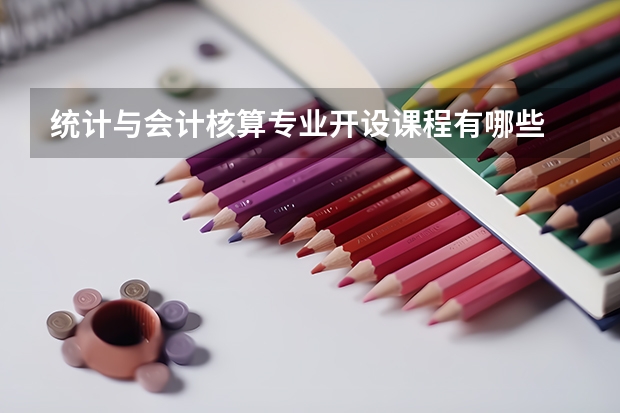 统计与会计核算专业开设课程有哪些 考研方向是什么