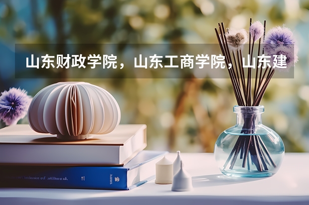 山东财政学院，山东工商学院，山东建筑大学，山东交通学院，山东经济学院，，山东理工大学哪个好呢？