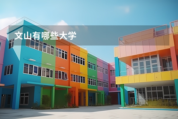 文山有哪些大学
