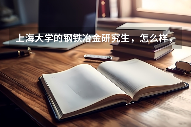 上海大学的钢铁冶金研究生，怎么样，就业如何，是不是只能去钢铁厂，是不是比较好调剂呢