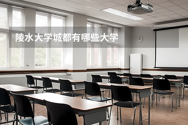 陵水大学城都有哪些大学