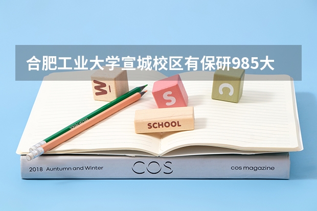 合肥工业大学宣城校区有保研985大学的研究生吗?