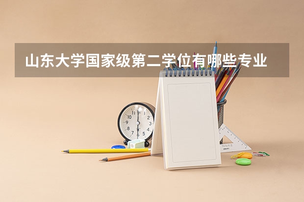 山东大学国家级第二学位有哪些专业