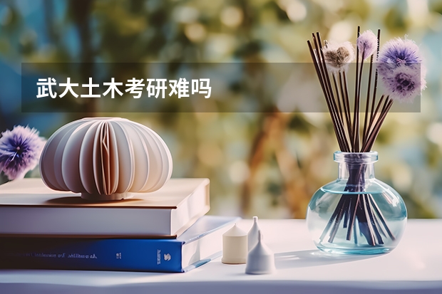 武大土木考研难吗