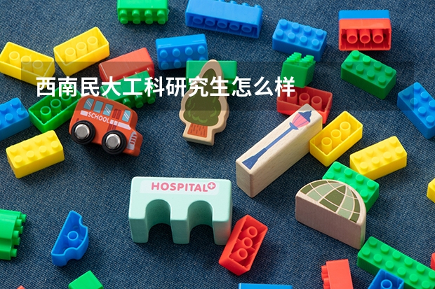 西南民大工科研究生怎么样