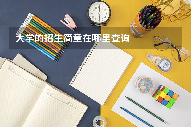 大学的招生简章在哪里查询