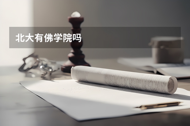 北大有佛学院吗