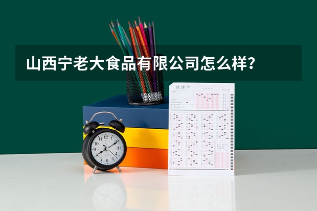 山西宁老大食品有限公司怎么样？