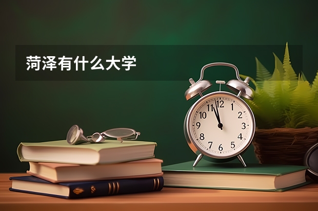 菏泽有什么大学