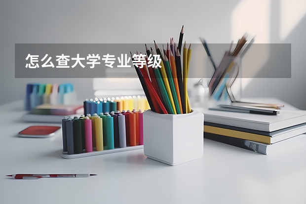 怎么查大学专业等级