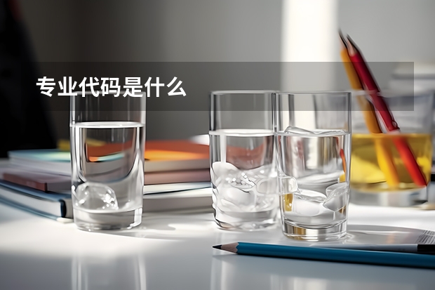 专业代码是什么