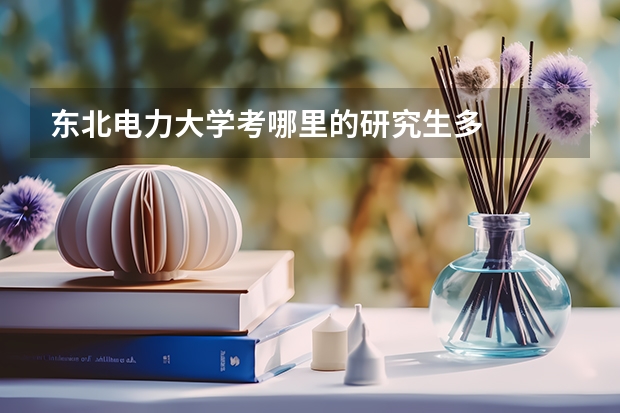 东北电力大学考哪里的研究生多