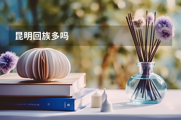 昆明回族多吗