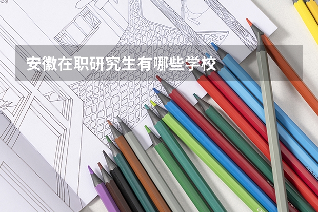 安徽在职研究生有哪些学校