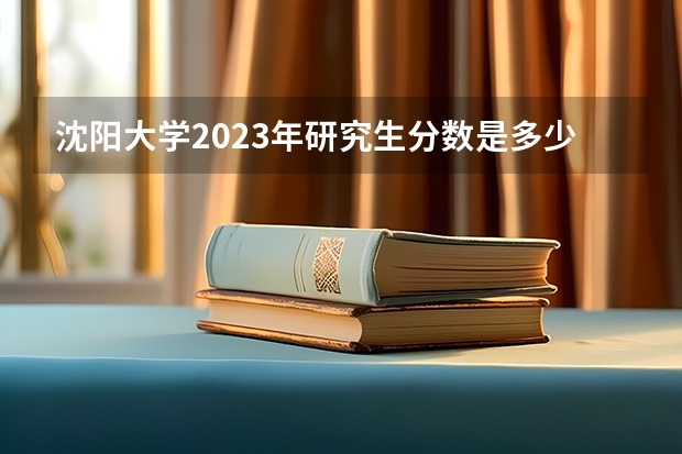 沈阳大学2023年研究生分数是多少 沈阳大学2023报考人数